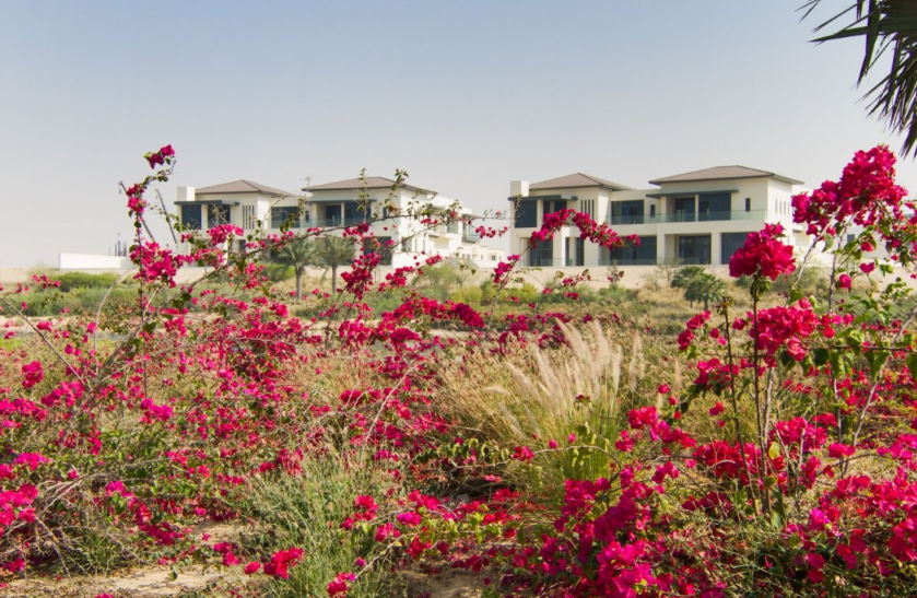 Dubai Hills Estate community distress apartments for sale
