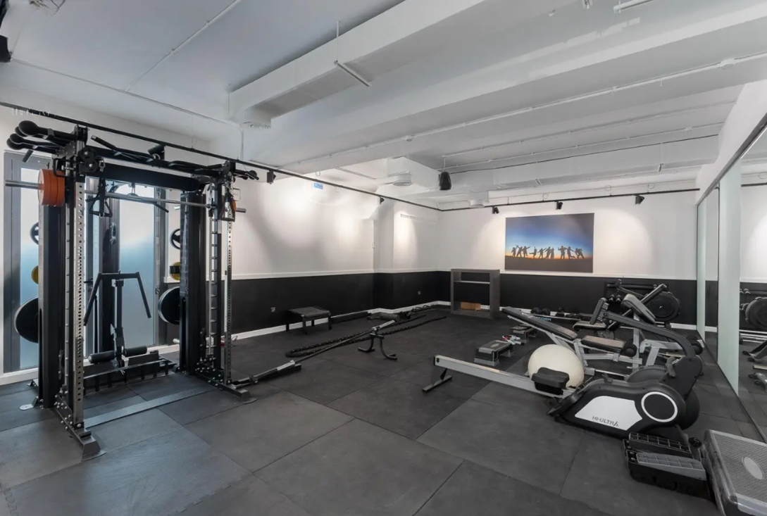 Hills View Dubai Hills Estate 7 BR mansion for sale gym